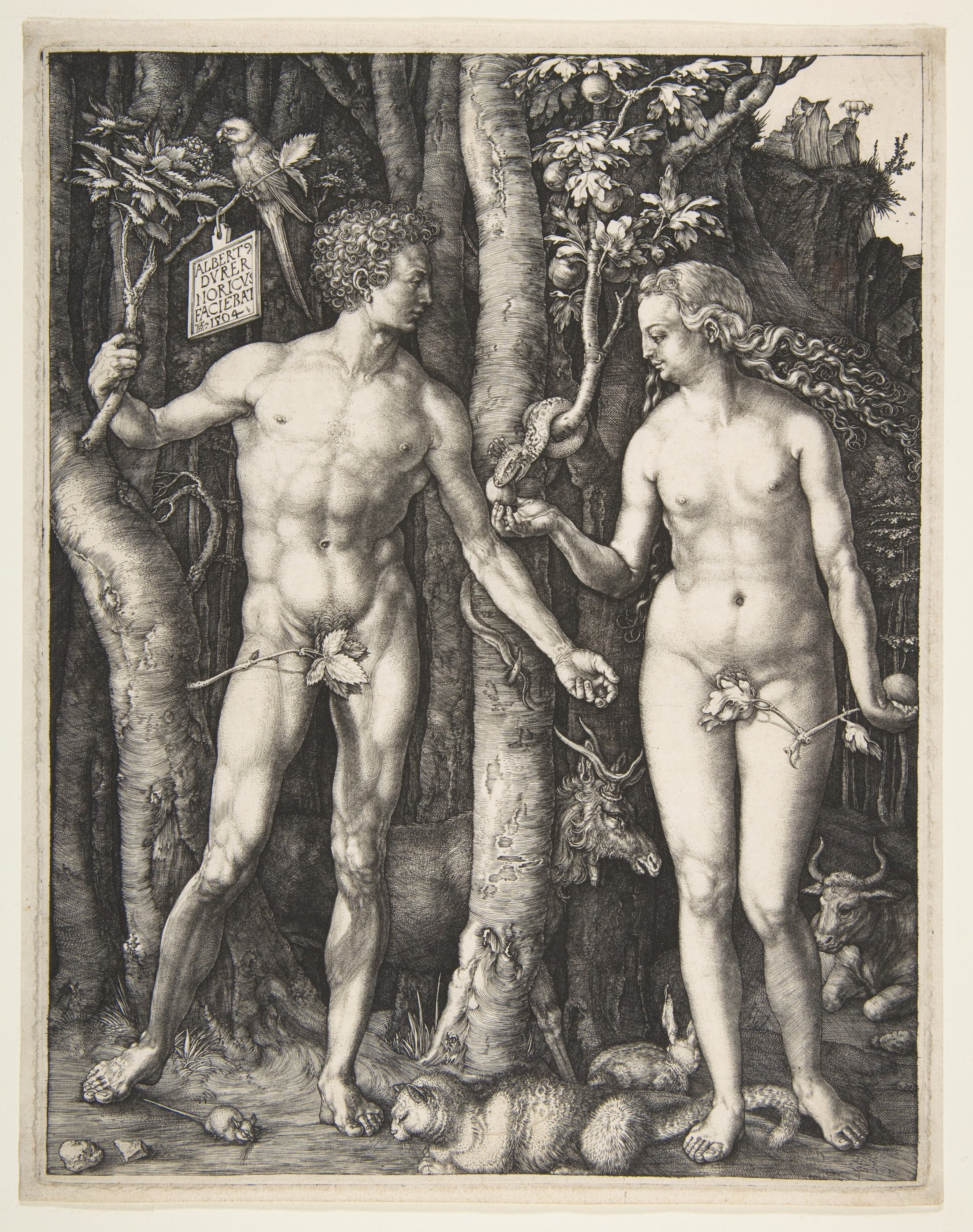 woodcut of adam and eve by Albrecht Durer